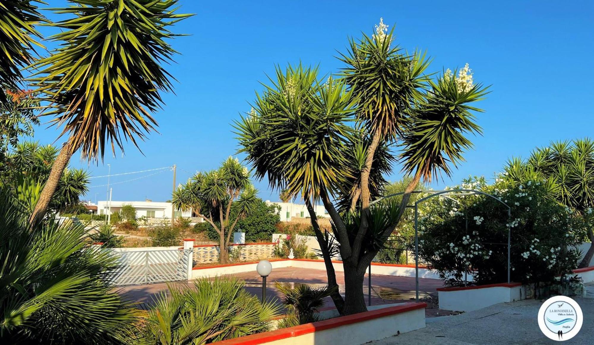 Villa La Rondinella - Torre San Giovanni Kültér fotó