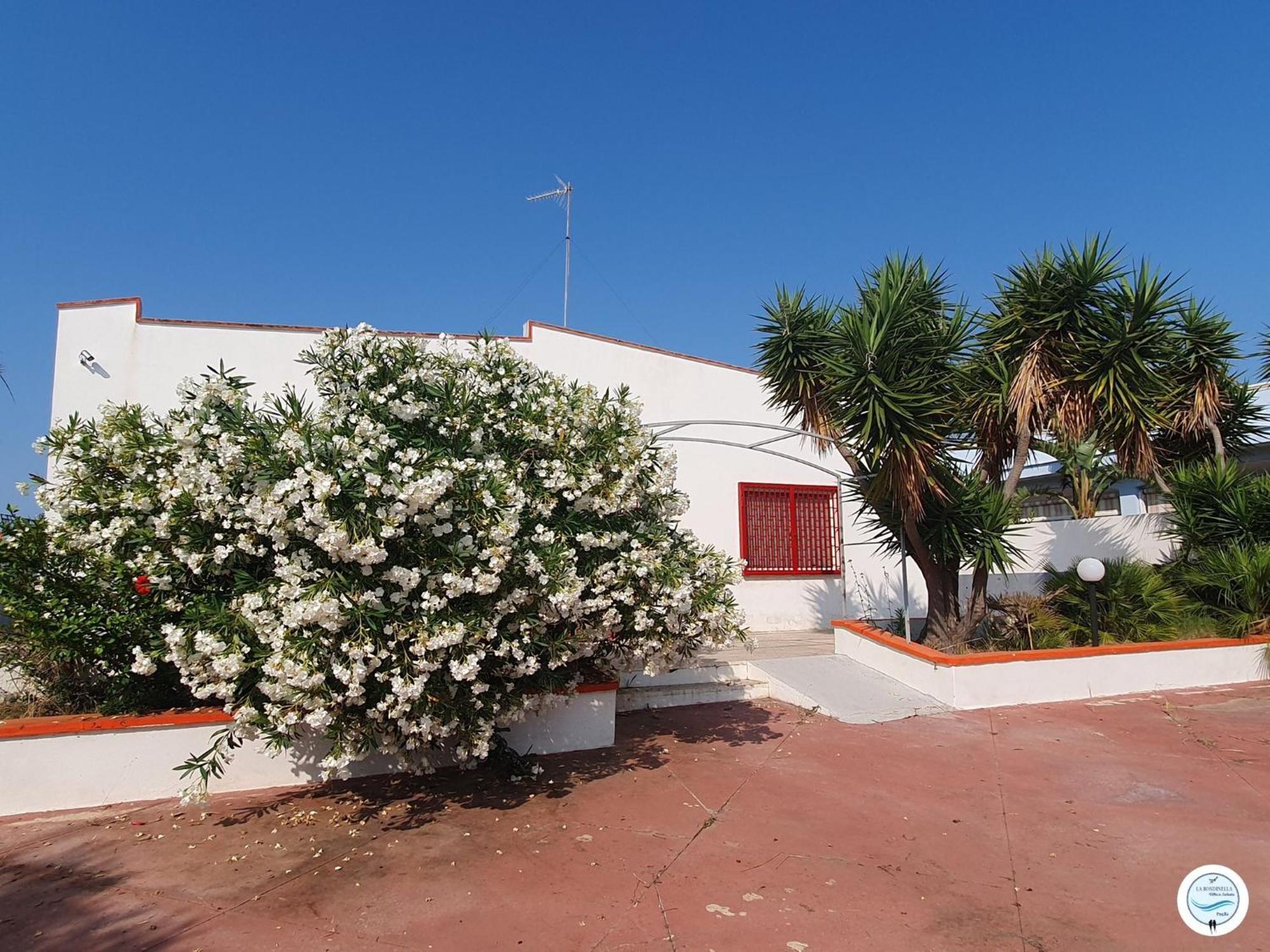 Villa La Rondinella - Torre San Giovanni Kültér fotó